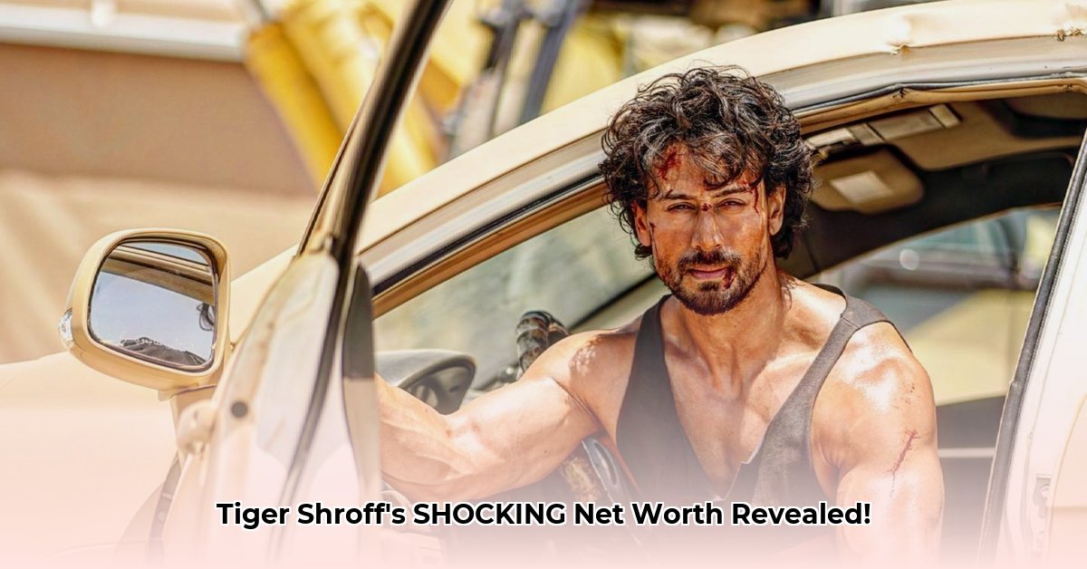 tiger-shroff-net-worth